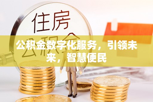 囊谦公积金数字化服务，引领未来，智慧便民