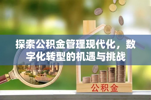 囊谦探索公积金管理现代化，数字化转型的机遇与挑战
