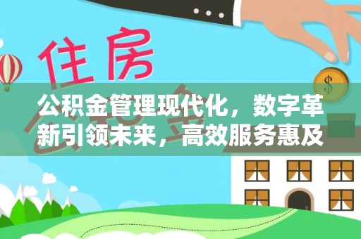 囊谦公积金管理现代化，数字革新引领未来，高效服务惠及民生