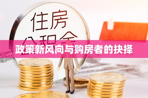 囊谦政策新风向与购房者的抉择