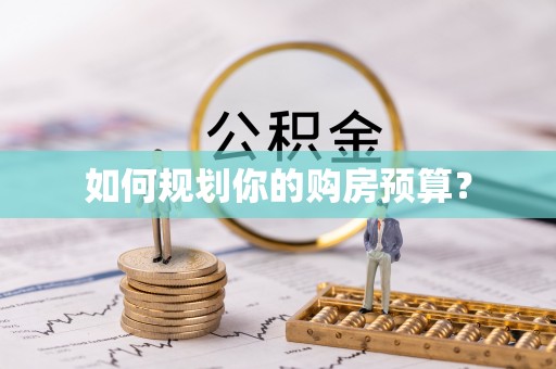囊谦如何规划你的购房预算？
