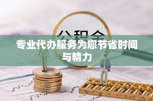 囊谦专业代办服务为您节省时间与精力