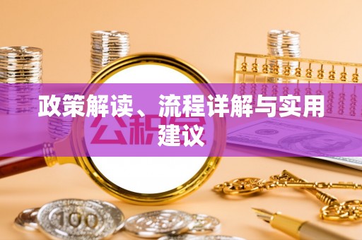 囊谦政策解读、流程详解与实用建议