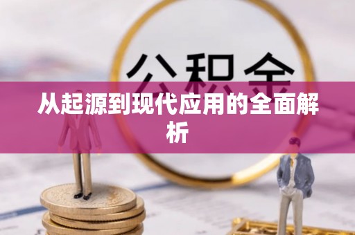 囊谦从起源到现代应用的全面解析